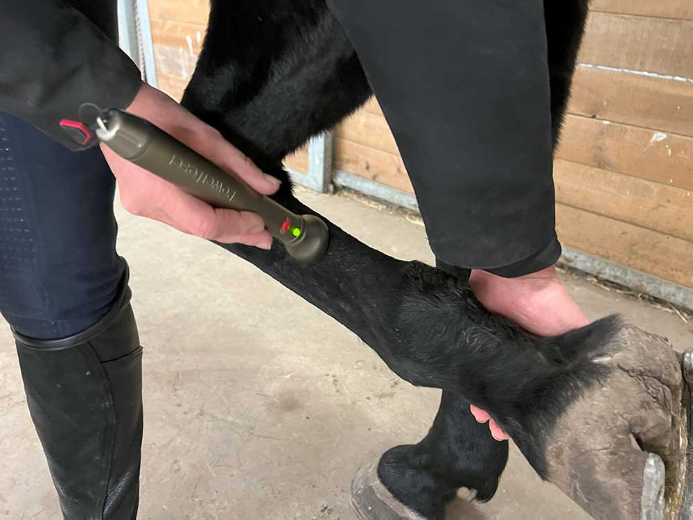 Laserbehandling af seneskade